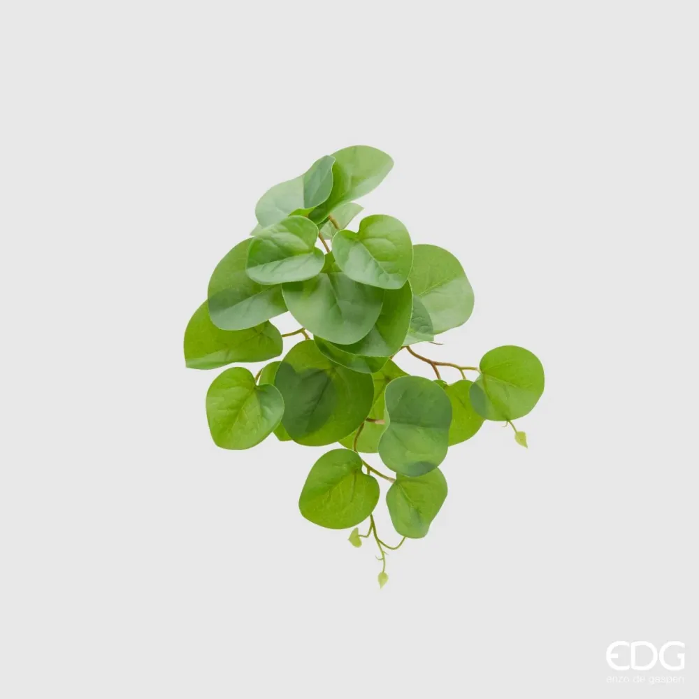 EDG Enzo De Gasperi Cespuglietto Artificiale Pilea Peperomioides Chic H30 cm