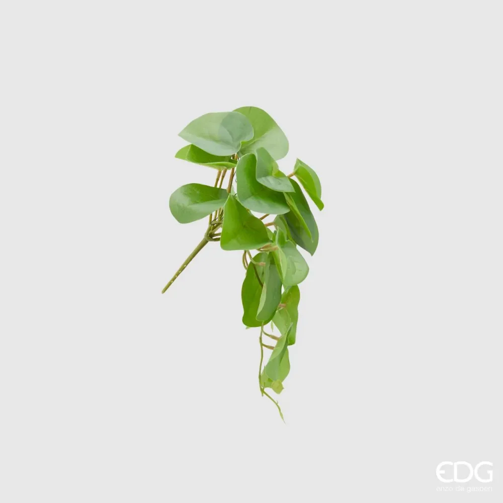 EDG Enzo De Gasperi Cespuglietto Artificiale Pilea Peperomioides Chic H30 cm