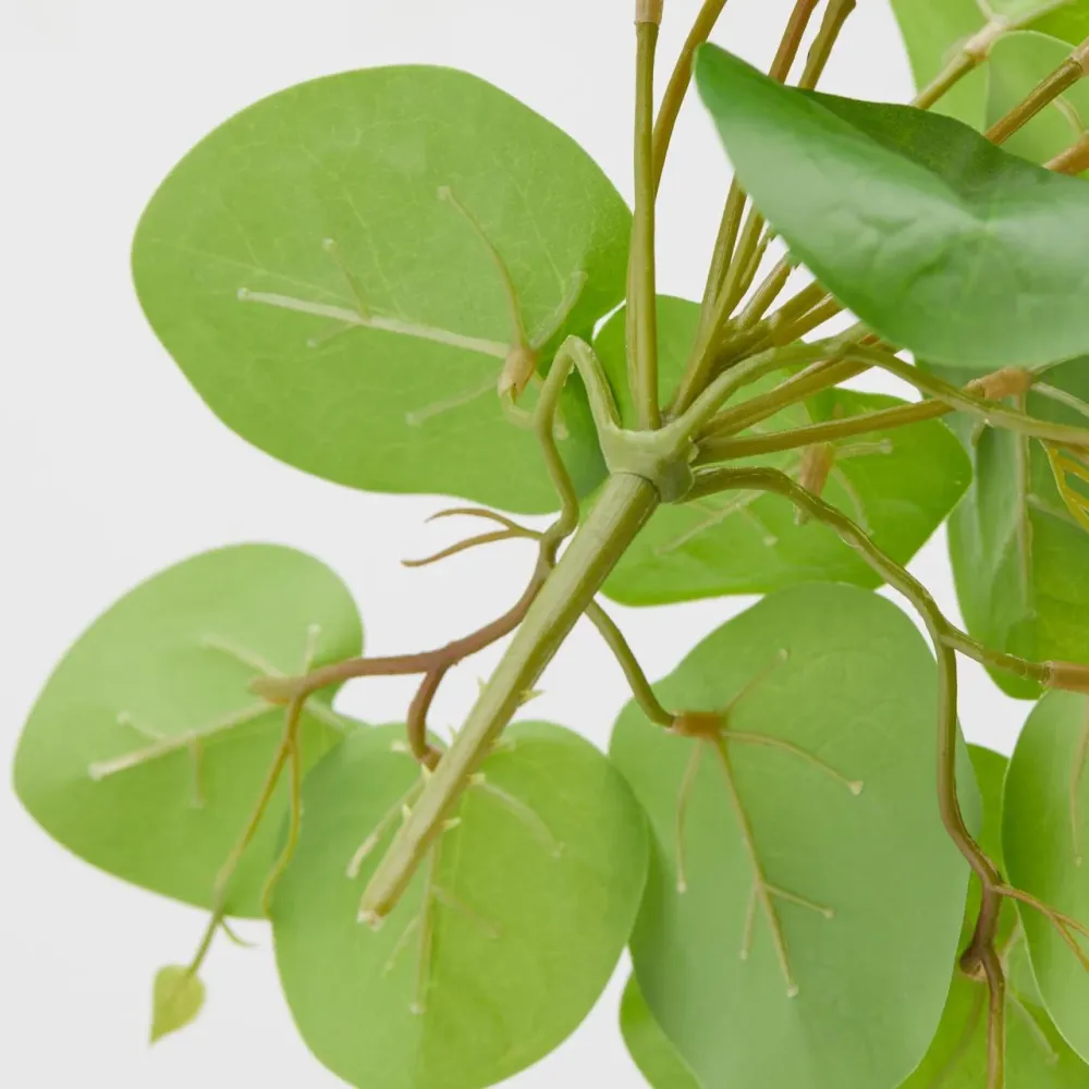 EDG Enzo De Gasperi Cespuglietto Artificiale Pilea Peperomioides Chic H30 cm