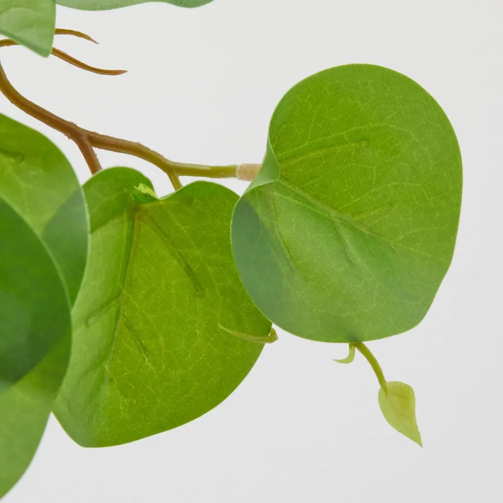 EDG Enzo De Gasperi Cespuglietto Artificiale Pilea Peperomioides Chic H30 cm