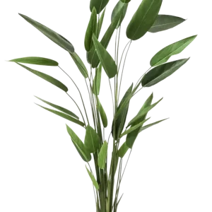 Eliconia artificiale - Frida | 220 cm