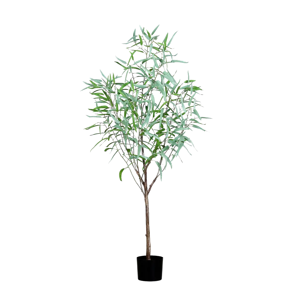 Eucalipto artificiale - Manfred | 165 cm