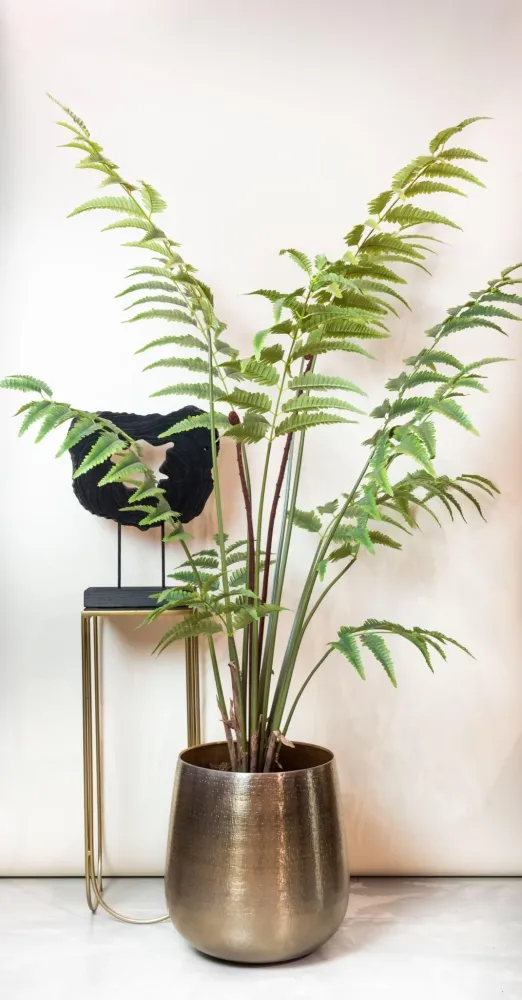 Felce pianta artificiale - h150cm, Ø12cm