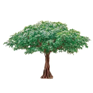 Ficus artificial 3m - 30m