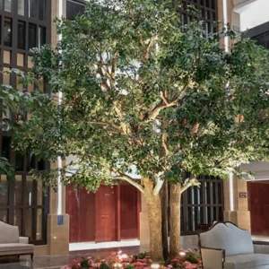 Ficus artificial Royal 3 m – 30 m