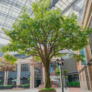 Ficus artificial Tropical 3m - 30m