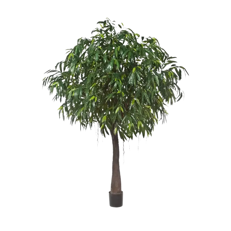 Ficus artificiale foglie lunghe - Johannes | 270 cm