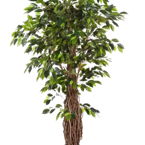 Ficus artificiale - Jannik | 330 cm