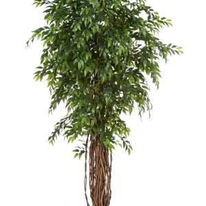 Ficus artificiale - Jayden | 210 cm