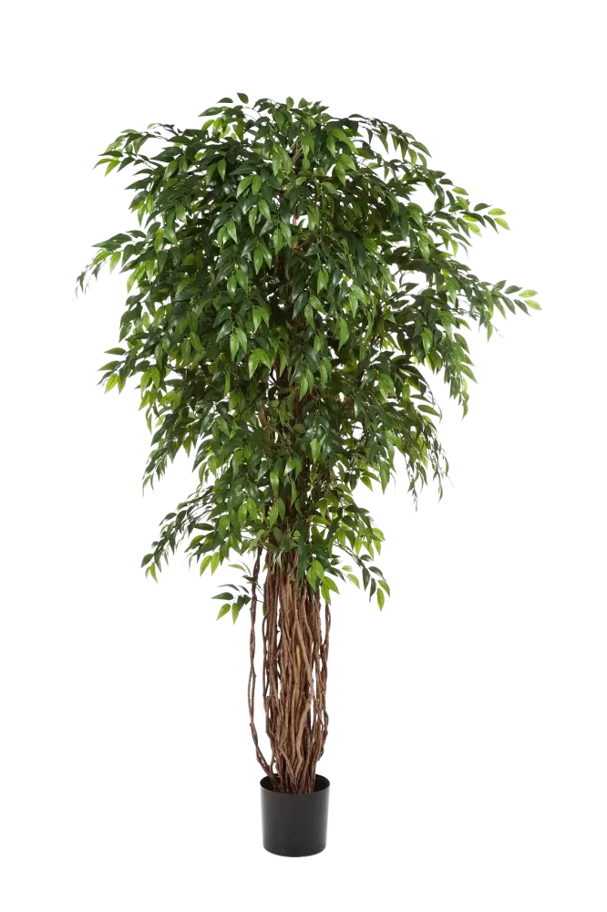 Ficus artificiale - Jayden | 210 cm