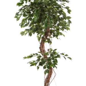 Ficus artificiale - Joshua | 180 cm