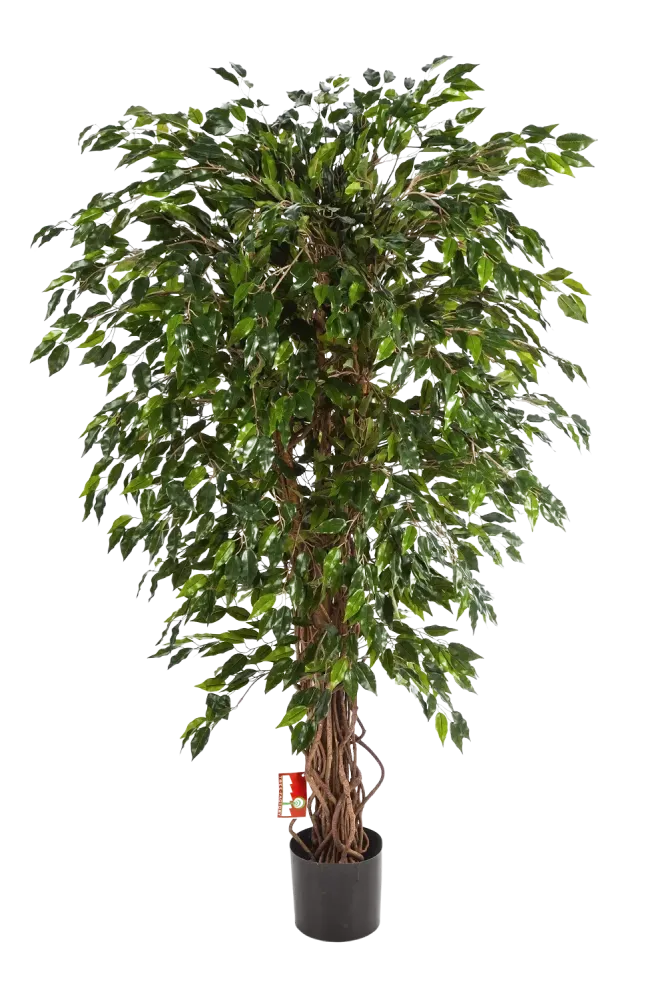Ficus artificiale - Juna | 210 cm