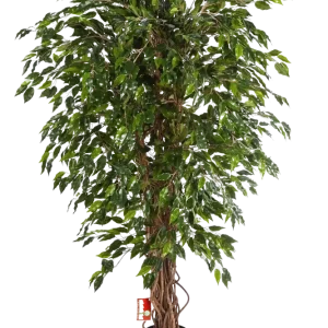 Ficus artificiale - Juna | 210 cm
