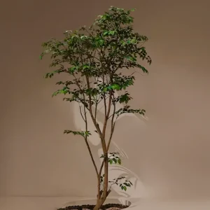 Ficus artificiale Studio 1,90 m