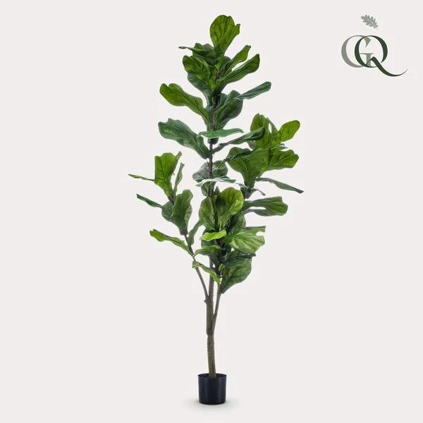 Ficus Lyrata artificiale h150cm