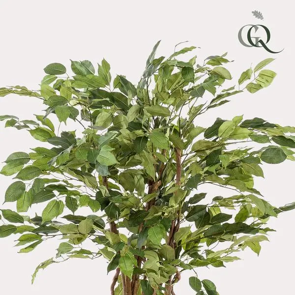 Ficus rampicante artificiale h140cm
