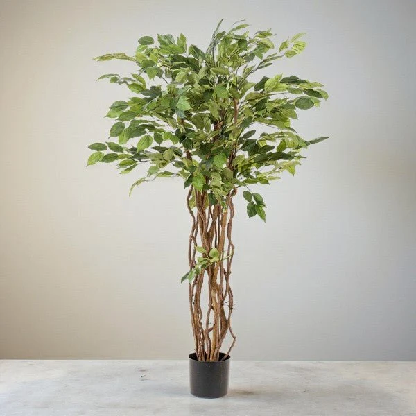 Ficus rampicante artificiale h140cm