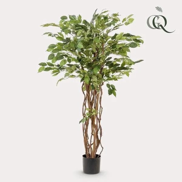 Ficus rampicante artificiale h140cm