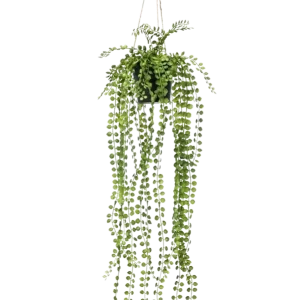 Ficus rampicante artificiale - Kaja | 60 cm
