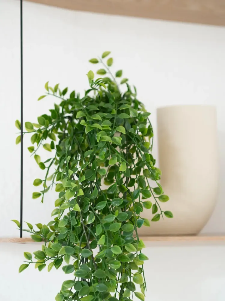 Ficus rampicante artificiale sospeso - Keno | 80 cm