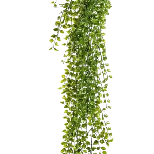 Ficus rampicante artificiale sospeso - Keno | 80 cm