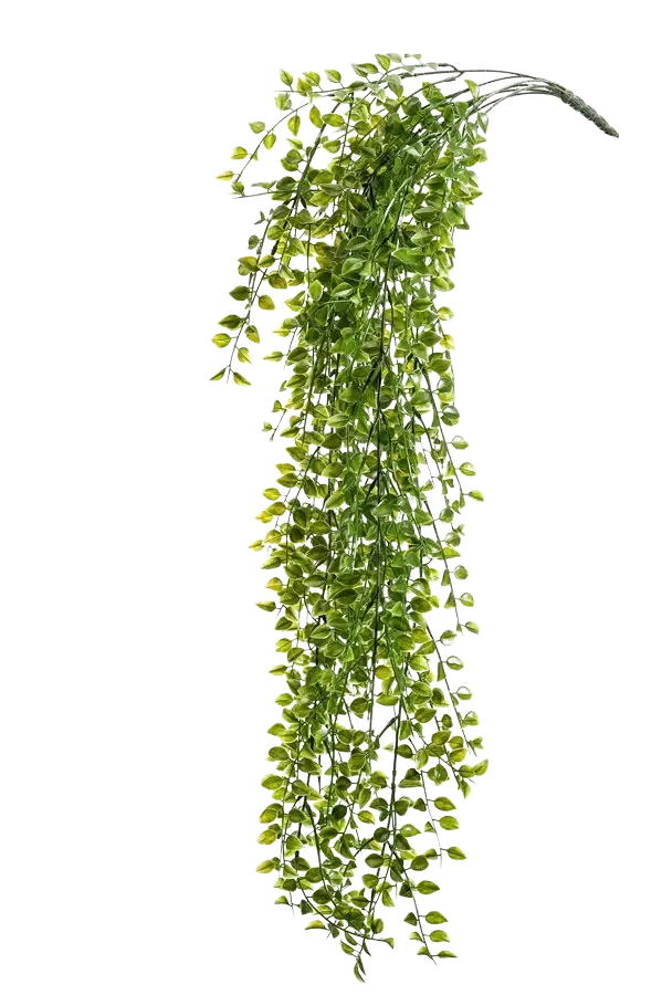 Ficus rampicante artificiale sospeso - Keno | 80 cm