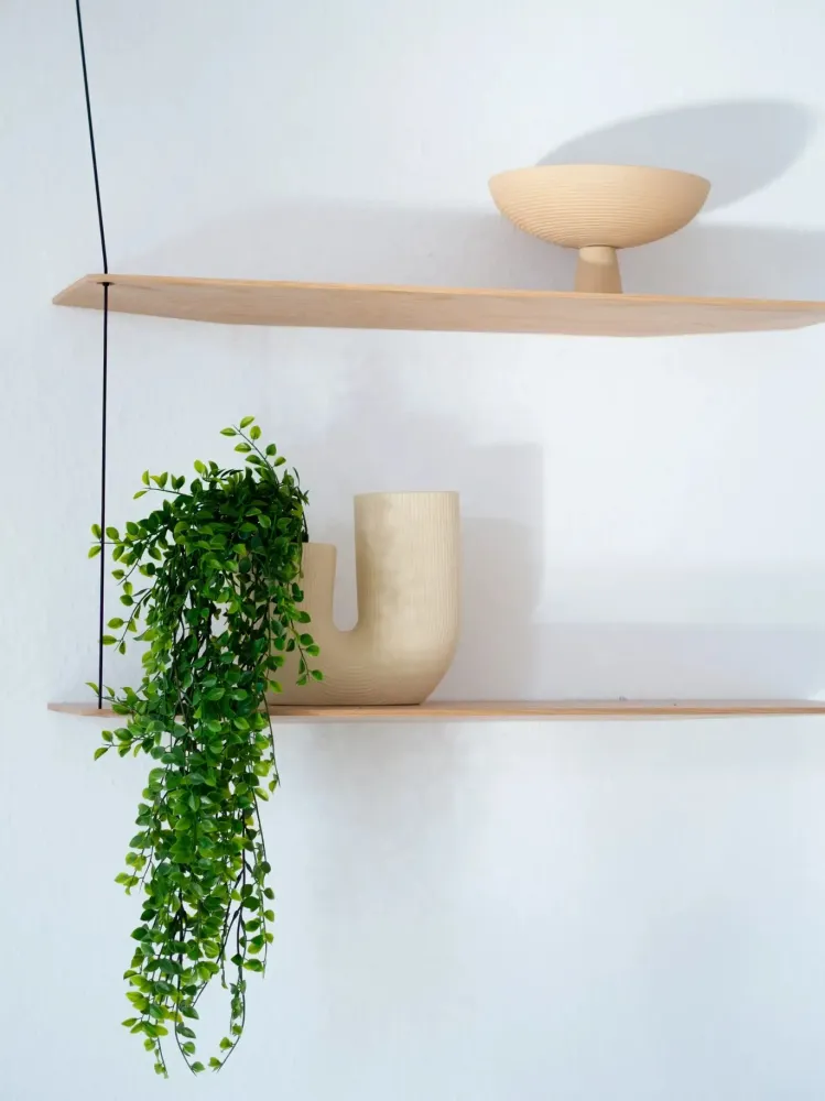 Ficus rampicante artificiale sospeso - Keno | 80 cm