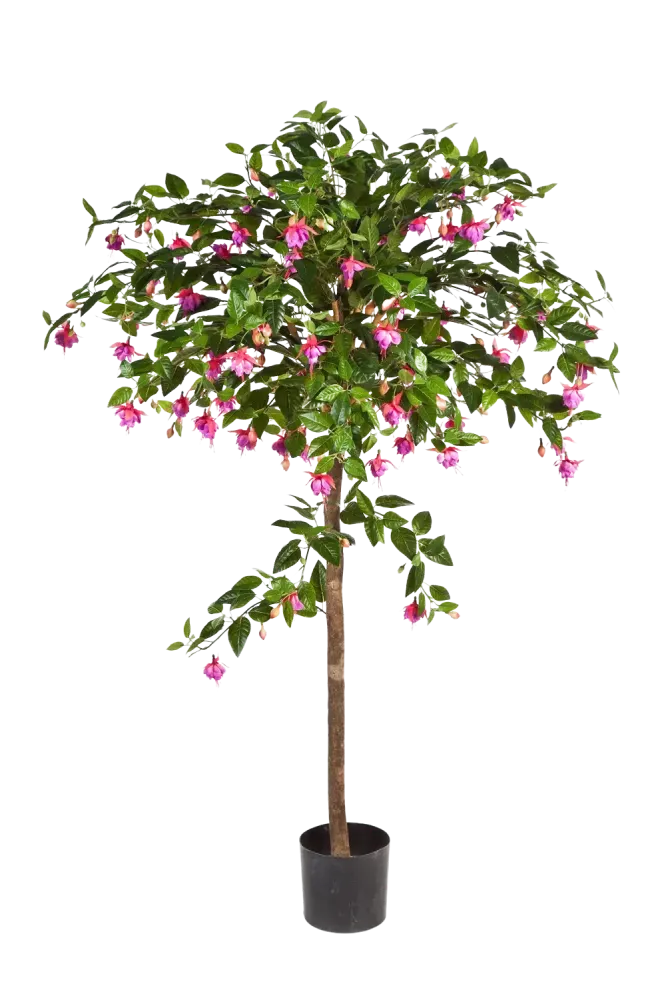Fucsia artificiale - Regina | 140 cm
