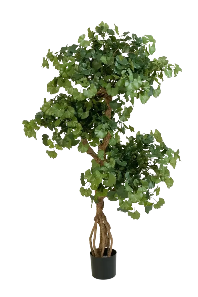 Gingko artificiale - Titus | 145 cm ignifugo