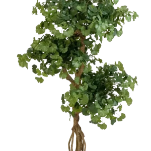 Gingko artificiale - Titus | 145 cm ignifugo