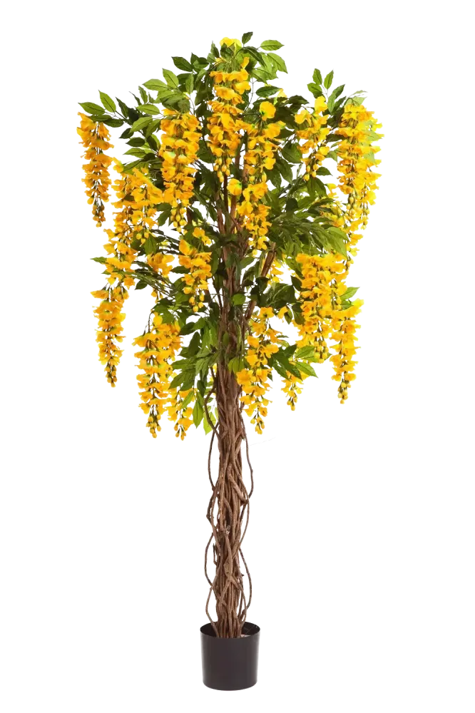 Glicine artificiale Liana - Runa | 180 cm