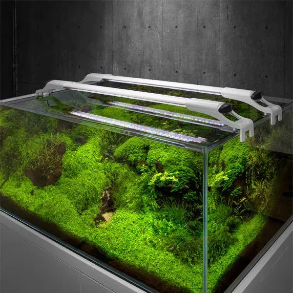 Illuminazione LED Leddy Slim pianta Aquael - bianco 32W