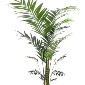 kentia/kenzia artificiale 210cm