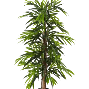 Longifolia artificiale - Maurice | 210 cm