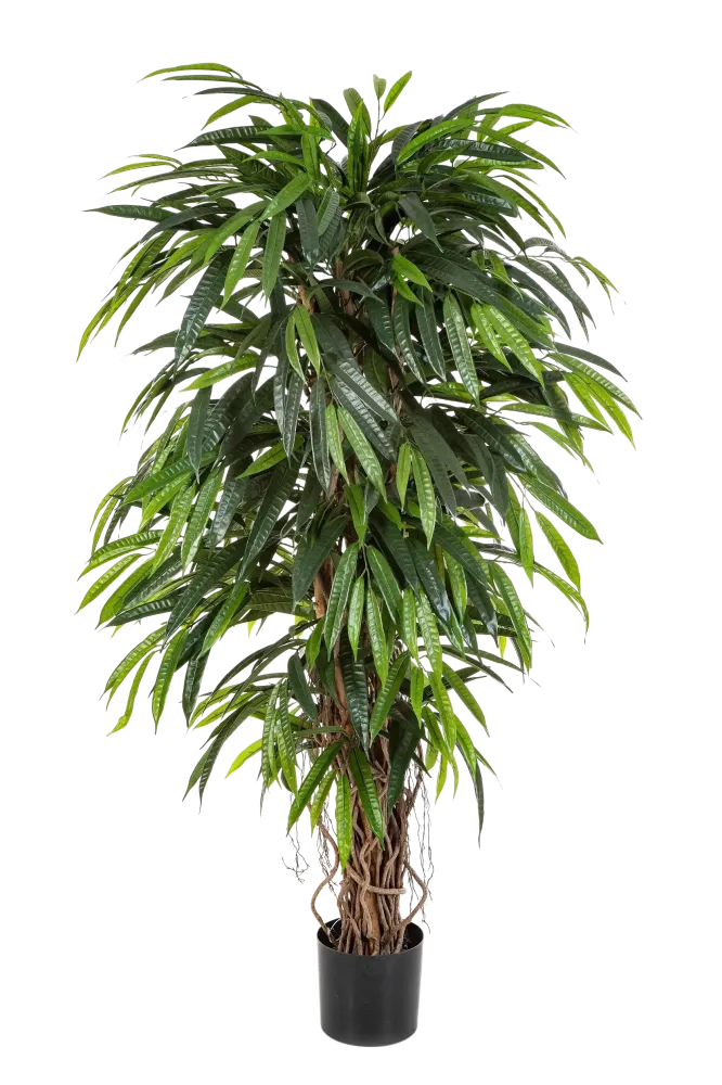Longifolia artificiale - Steven | 210 cm