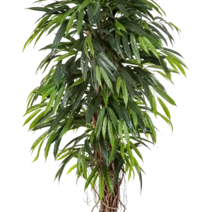 Longifolia artificiale - Steven | 210 cm