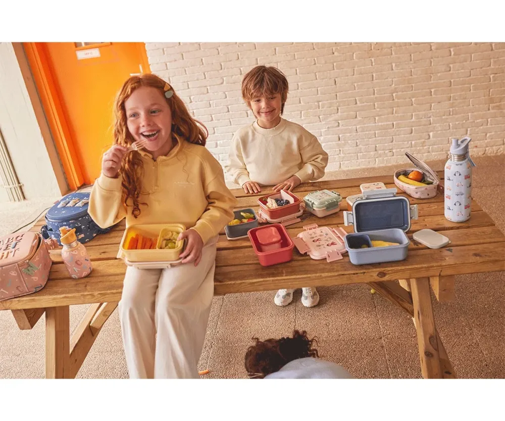 Lunch Box Grande City Cars