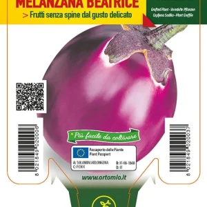 Melanzana Lilla Beatrice F1 - 1 pianta innestata v.10 cm - Orto Mio