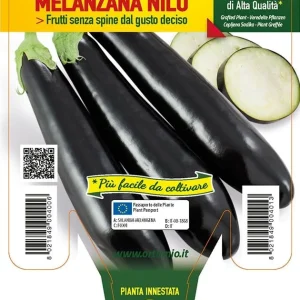 Melanzana lunga nera - 1 pianta Innestata v.14 cm - Orto Mio