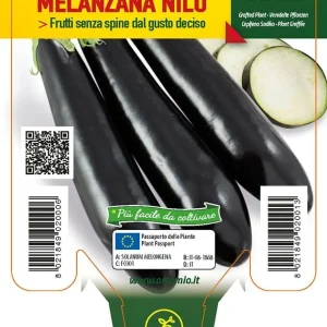 Melanzana lunga Nilo F1 - 1 pianta innestata v.10 cm - Orto Mio