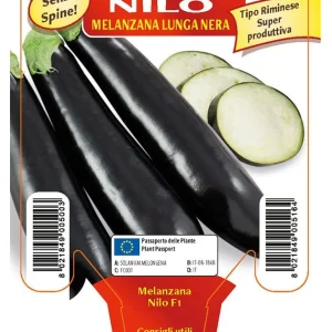 Melanzana lunga Nilo F1 - 1 pianta v.10 - Orto Mio