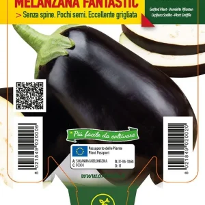 Melanzana ovale Fantastic F1 - 1 pianta Innestata v.10 cm - Orto Mio
