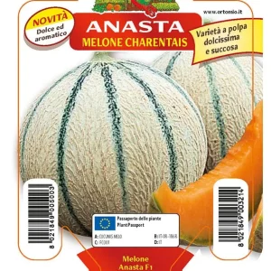 Melone cantalupo di Charentais Anasta f1 - 1 pianta v.10 cm - Orto Mio