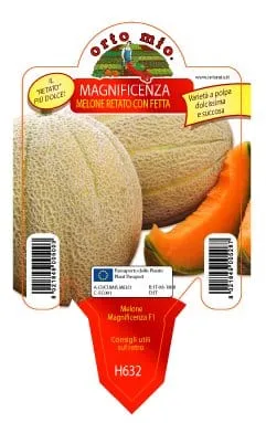 Melone retato con fetta Magnificenza F1 - 1 pianta v. 10 cm - Orto Mio