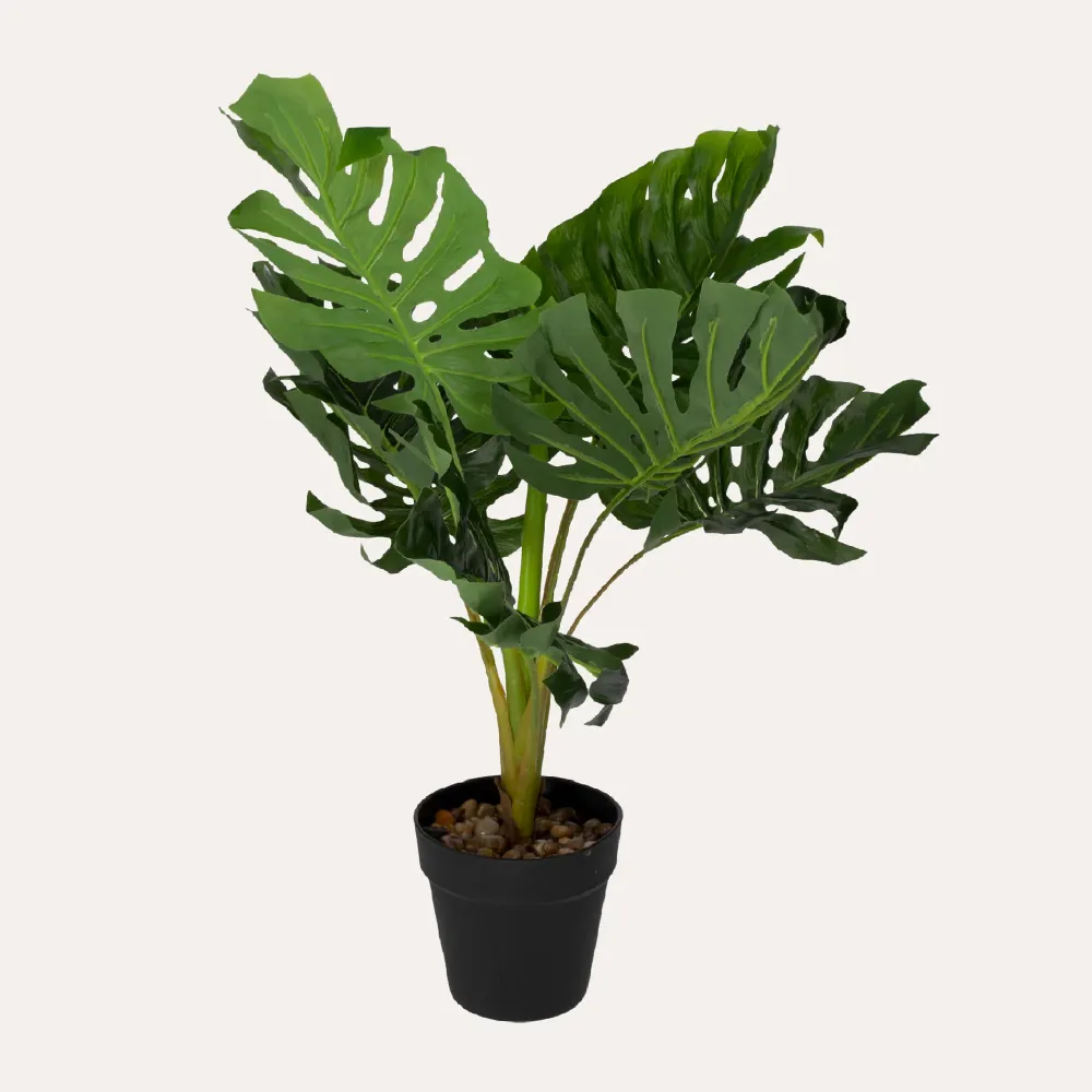Monstera Artificiale Di Alta Qualità