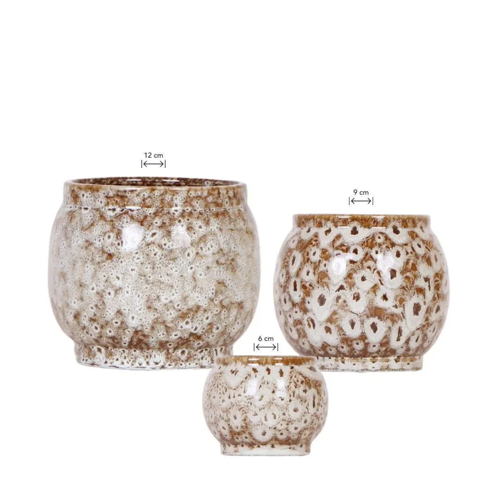 Offerta combinata di vasi decorativi Safari