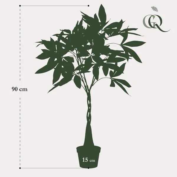 Pachira aquatica artificiale h90cm