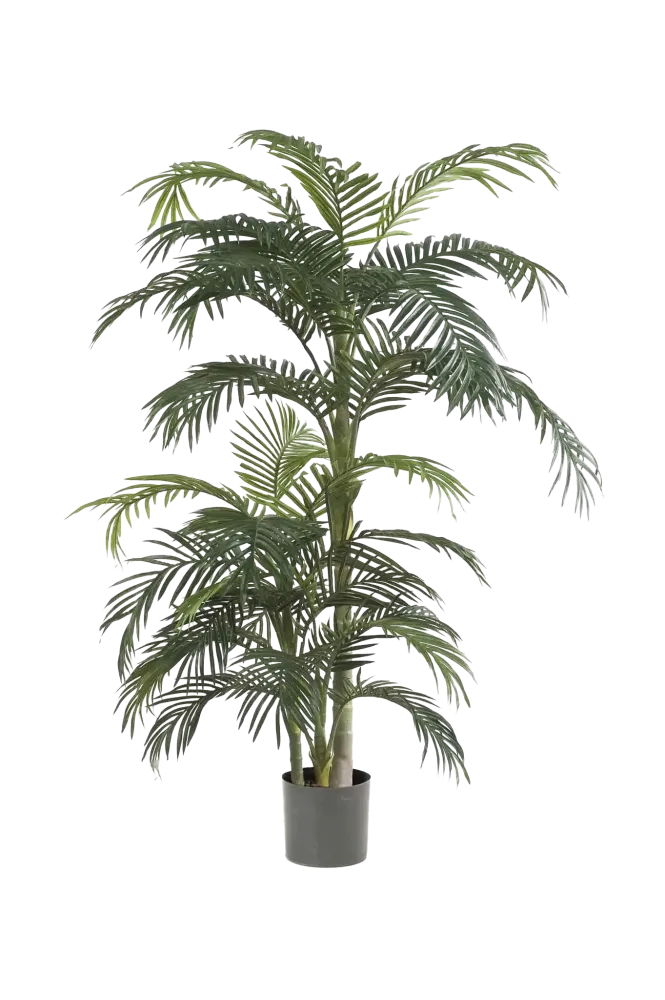 Palma Areca artificiale - Bobby | 130 cm