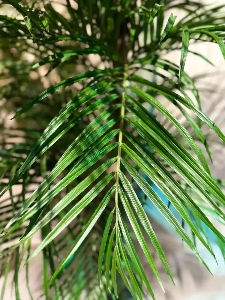 Palma Areca artificiale - Christine | 210 cm