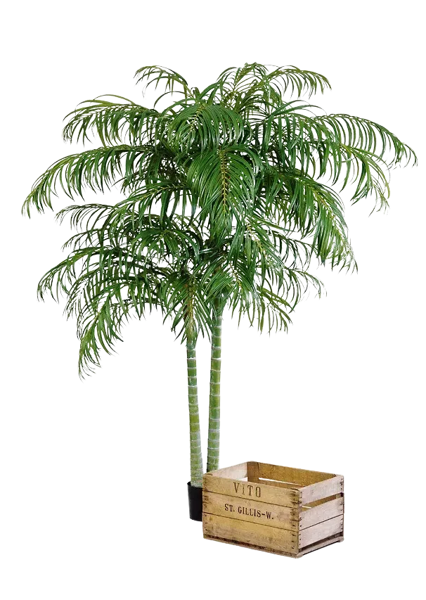Palma Areca artificiale - Christine | 210 cm